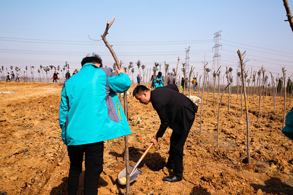 “攜手植樹，共創(chuàng)藍(lán)天”丨南京新華師生共筑新華育才林