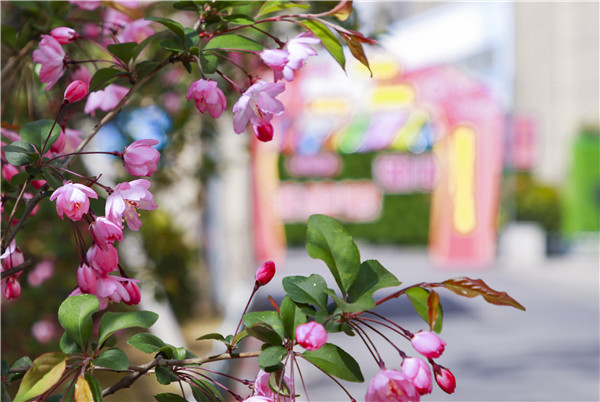 春暖花開，等你歸來——邀你云賞南新春景，以慰思念