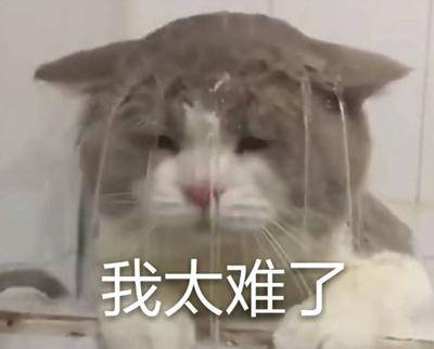勁爆！新華電腦教育服務(wù)旗艦店正式入駐天貓，課程1折秒殺！