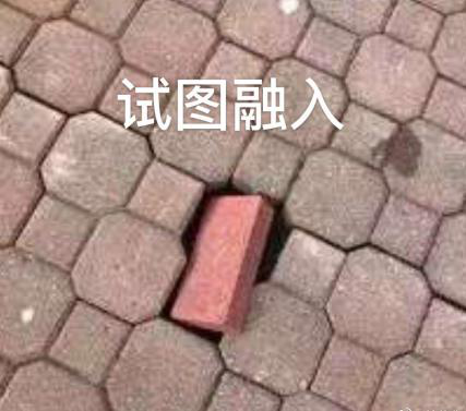 新華互聯(lián)網(wǎng)科技正式入駐Bilibili！會摩擦出什么樣火花呢？
